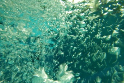 Hohensachsener Schwimmbadwasser